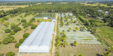 மேல்நாட்டு முறையில் இயற்கை விவசாயம் பெண் விவசாயி அரசு உதவிக்கரம் நீட்ட வேண்டுகோள்