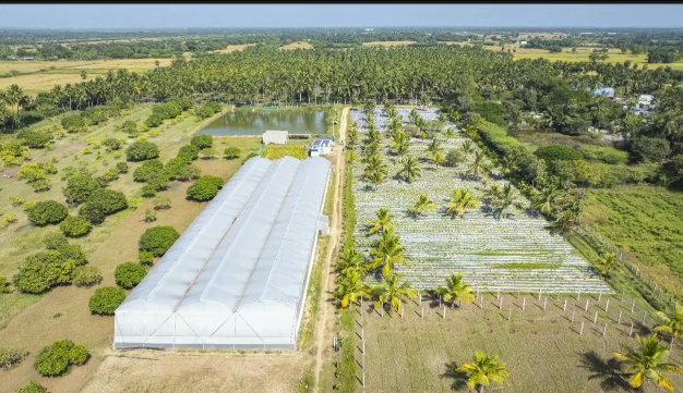 மேல்நாட்டு முறையில் இயற்கை விவசாயம் பெண் விவசாயி அரசு உதவிக்கரம் நீட்ட வேண்டுகோள்