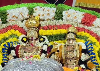 திருவாரூர் தியாகராஜ சுவாமி பங்குனி உத்திர திருவிழாவில் ஐராவத யானை வாகனம்