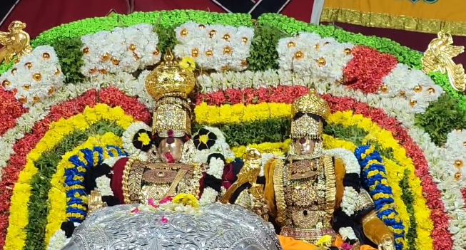 திருவாரூர் தியாகராஜ சுவாமி பங்குனி உத்திர திருவிழாவில் ஐராவத யானை வாகனம்