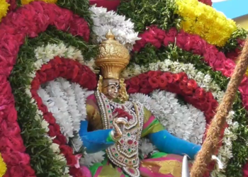 திருத்தணியில் உடல் முழுவதும் அலகு குத்தி அலங்கரிக்கப்பட்ட அம்மனை டிராக்டரில் இழுத்த பக்தர்கள் 