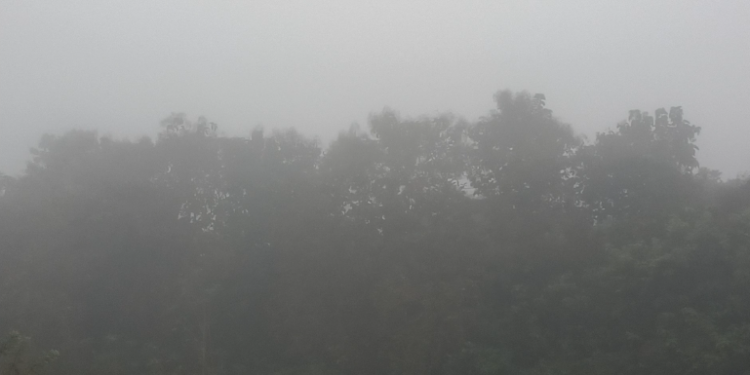 ஊட்டியாக மாறிய திருவாரூர் – முகப்பு விளக்குகளை ஒளிர விட்டு செல்லும் வாகன ஓட்டிகள்