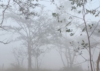 செங்கல்பட்டு மாவட்டத்தில் கடும் பணிபுரிவு தேசிய நெடுஞ்சாலையில் வாகன ஓட்டிகள் அவதி