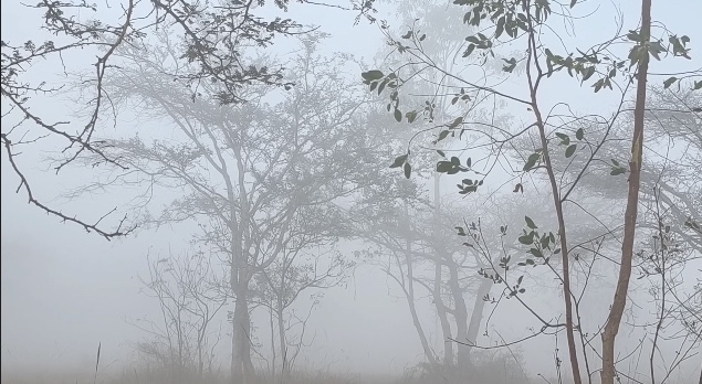 செங்கல்பட்டு மாவட்டத்தில் கடும் பணிபுரிவு தேசிய நெடுஞ்சாலையில் வாகன ஓட்டிகள் அவதி