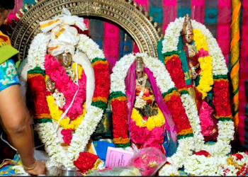 மன்னார்குடி அருகே பாமணி நாகநாதர் ஆலயத்தில் பங்குனி உத்திரத்தை முன்னிட்டு திருக்கல்யாணம்