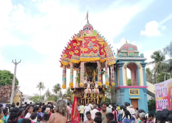 சிங்கனோடை கிராமத்தில் சாலை ஓரம் நுங்கு விற்பனை நொங்கு கேட்டு அடம் பிடித்த குரங்கு