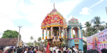 சிங்கனோடை கிராமத்தில் சாலை ஓரம் நுங்கு விற்பனை நொங்கு கேட்டு அடம் பிடித்த குரங்கு