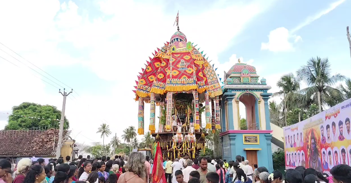 சிங்கனோடை கிராமத்தில் சாலை ஓரம் நுங்கு விற்பனை நொங்கு கேட்டு அடம் பிடித்த குரங்கு