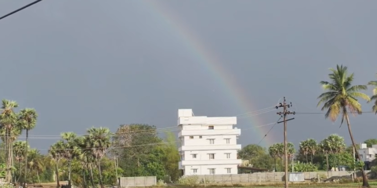 திருவாரூர் தியாகராஜர் ஆலய வண்ண மின் விளக்குகளால் அலங்கரிக்கப்பட்ட தெப்ப வெள்ளோட்டம்