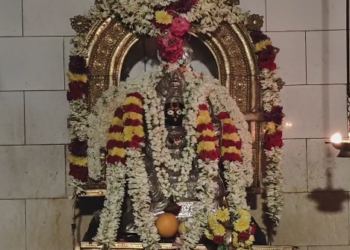 தமிழக முதலமைச்சராக விஜய் பொறுப்பேற்ற வரவேற்கும் கோட்டூரில் டெல்டா விவசாய மன்றம் சார்பில் கொண்டாட்டம்
