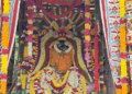 தமிழக முதலமைச்சராக விஜய் பொறுப்பேற்ற வரவேற்கும் கோட்டூரில் டெல்டா விவசாய மன்றம் சார்பில் கொண்டாட்டம்