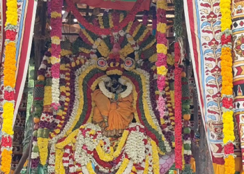 தமிழக முதலமைச்சராக விஜய் பொறுப்பேற்ற வரவேற்கும் கோட்டூரில் டெல்டா விவசாய மன்றம் சார்பில் கொண்டாட்டம்