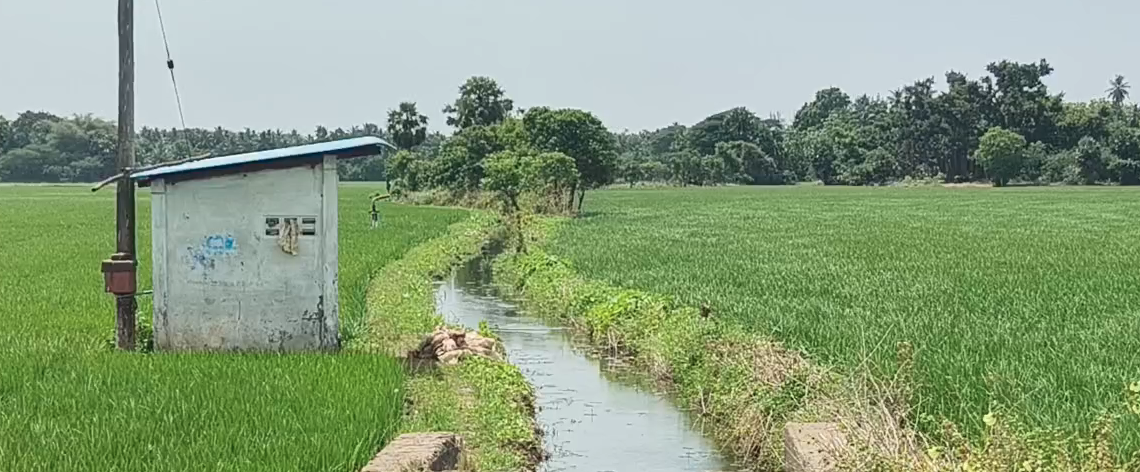 பிரதமரின் கௌரவ நிதித் தொகை பெற்று வரும் விவசாயிகள், தங்களின் நில உடைமை விவரங்களை உடனடியாக பதிவு செய்ய ஹெச்.எஸ்.ஸ்ரீகாந்த்