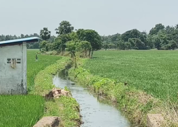பிரதமரின் கௌரவ நிதித் தொகை பெற்று வரும் விவசாயிகள், தங்களின் நில உடைமை விவரங்களை உடனடியாக பதிவு செய்ய ஹெச்.எஸ்.ஸ்ரீகாந்த்