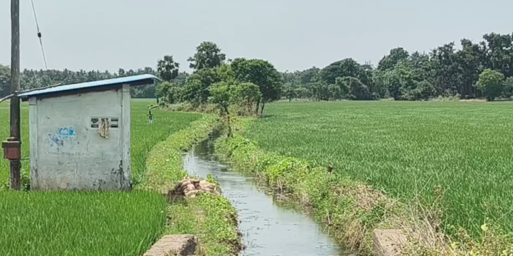 பிரதமரின் கௌரவ நிதித் தொகை பெற்று வரும் விவசாயிகள், தங்களின் நில உடைமை விவரங்களை உடனடியாக பதிவு செய்ய ஹெச்.எஸ்.ஸ்ரீகாந்த்