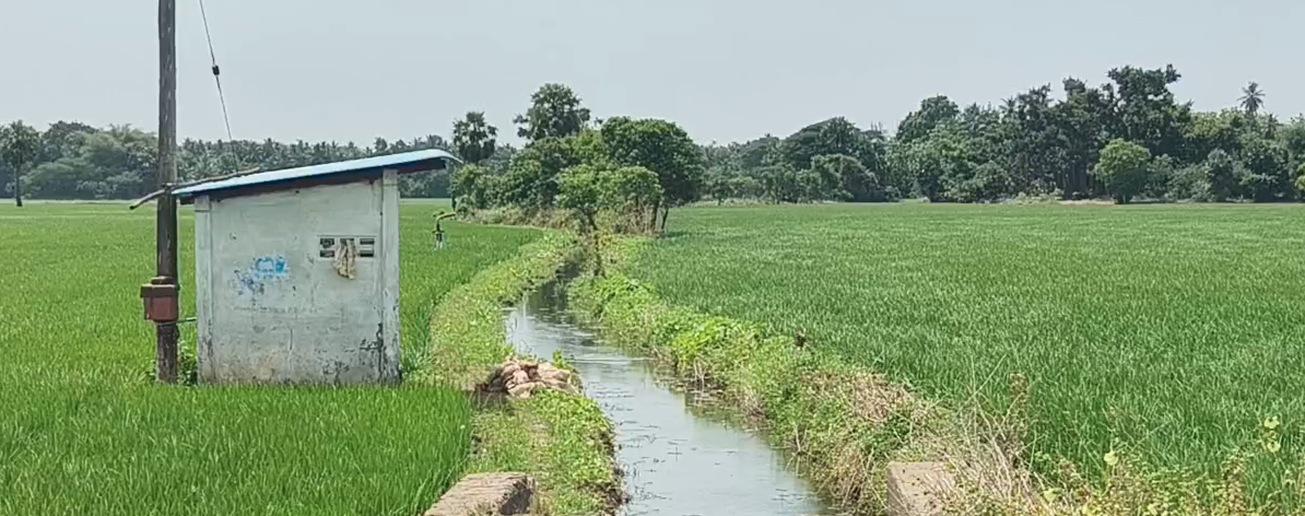 பிரதமரின் கௌரவ நிதித் தொகை பெற்று வரும் விவசாயிகள், தங்களின் நில உடைமை விவரங்களை உடனடியாக பதிவு செய்ய ஹெச்.எஸ்.ஸ்ரீகாந்த்