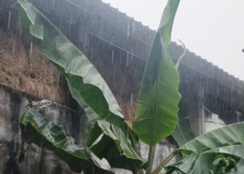 கஞ்சாநகரம் கிராமத்தில் தங்கள் இடத்தை கோயில் இடம் என்று கூறி ஆக்கிரமித்து தீக்குழி அமைக்க முயற்சிப்பதாக குற்றம் கோரிக்கை