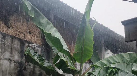 கஞ்சாநகரம் கிராமத்தில் தங்கள் இடத்தை கோயில் இடம் என்று கூறி ஆக்கிரமித்து தீக்குழி அமைக்க முயற்சிப்பதாக குற்றம் கோரிக்கை