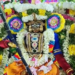 எட்டுக்குடியில் சித்ரா பௌர்ணமி திருவிழாவை முன்னிட்டு அன்னதானம் வழங்கிய திருத்துறைப்பூண்டி கிளை சங்கத்தினர்