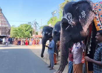 தருமபுரம் ஆதீனத்தில் புகழ்பெற்ற பட்டின பிரவேசம் விழாவின் முக்கிய நிகழ்ச்சியான திருத்தேரோட்டம்