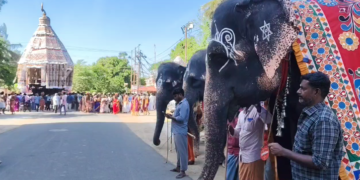 தருமபுரம் ஆதீனத்தில் புகழ்பெற்ற பட்டின பிரவேசம் விழாவின் முக்கிய நிகழ்ச்சியான திருத்தேரோட்டம்