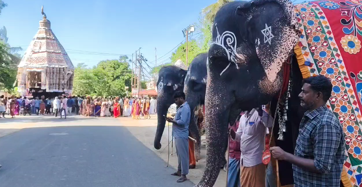 தருமபுரம் ஆதீனத்தில் புகழ்பெற்ற பட்டின பிரவேசம் விழாவின் முக்கிய நிகழ்ச்சியான திருத்தேரோட்டம்