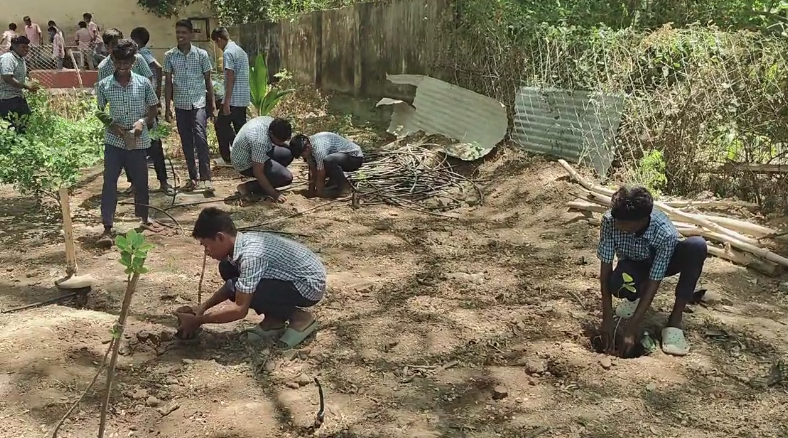 திருமங்கலம் அரசு மேல்நிலைப்பள்ளியில் உலக சுற்றுச்சூழல் தினத்தையொட்டி பேரணி & மரக்கன்றுகள் நடும் நிகழ்வு 