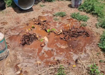புதூர் நாடு மலையில் கள்ளச்சாராம் காய்ச்சுவதற்காக வைத்திருந்த 50 லிட்டர் சாராயம் பறிமுதல் ஒருவர் கைது