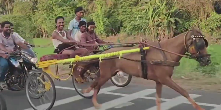 மயிலாடுதுறை நீதிமன்ற வளாகத்தில் 1093 வழக்குகளில் 1கோடியே 95 லட்சம் ரூபாய்க்கு சமரசத் தீர்வு