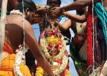 சீர்காழி சின்னம்மாள் அம்பிகை கோவில் கும்பாபிஷேகம்- திரளான  பக்தர்கள்  தரிசனம்