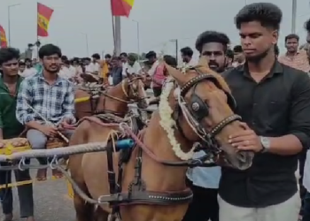 திருவள்ளூரில் நடந்த, குதிரை வண்டி பந்தயத்தில் சேர்ந்த குதிரைகள் இலக்கை நோக்கி சீறிப்பாய்ந்தன
