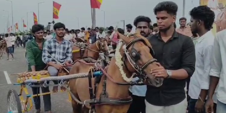 திருவள்ளூரில் நடந்த, குதிரை வண்டி பந்தயத்தில் சேர்ந்த குதிரைகள் இலக்கை நோக்கி சீறிப்பாய்ந்தன