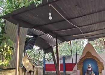 மயிலாடுதுறையில் ஆலமரத்தின் கிளை முறிந்து விழுந்ததில் வீடு, மின் கம்பங்கள் சேதம்