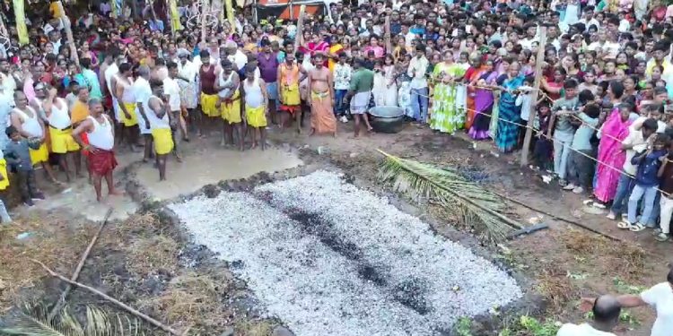 தொடுவாய் மீனவ கிராமத்தில் ரேணுகா பரமேஸ்வரி அம்மன் கோவில் தீமிதி திருவிழா