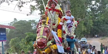 மாமாகுடி கிராமத்தில் உள்ள பிரசித்தி பெற்ற சீதளா பரமேஸ்வரி மாரியம்மன் கோவிலில் நடைபெற்ற தீமிதி திருவிழா
