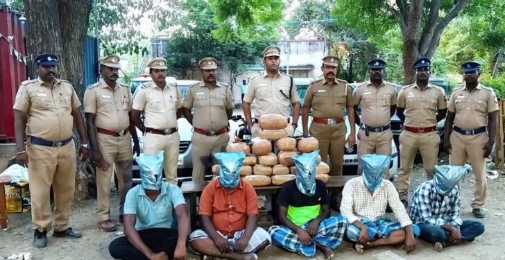 திருமுல்லைவாசல் அரசுமாதிரி மேல்நிலைப்பள்ளியில் போதைப்பொருள்கள் ஒழிப்பு ஆட்சியர் ஸ்ரீகாந்த் தலைமையில் விழிப்புணர்வு