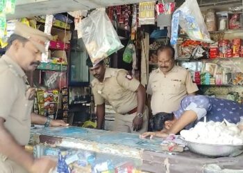 மாயூரநாதர் கோயில் யானையை வயதைக்காரணம் காட்டி ஓய்வு தேவையில்லை, நல்ல பராமரிப்பு வழங்க ஆர்வலர் கருத்து