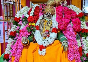மாயூரநாதர் கோயில் யானையை வயதைக்காரணம் காட்டி ஓய்வு தேவையில்லை, நல்ல பராமரிப்பு வழங்க ஆர்வலர் கருத்து