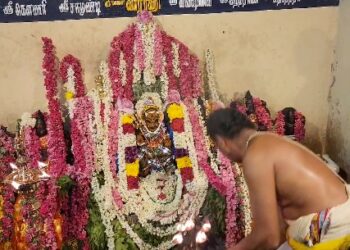 மாயூரநாதர் கோயில் யானையை வயதைக்காரணம் காட்டி ஓய்வு தேவையில்லை, நல்ல பராமரிப்பு வழங்க ஆர்வலர் கருத்து