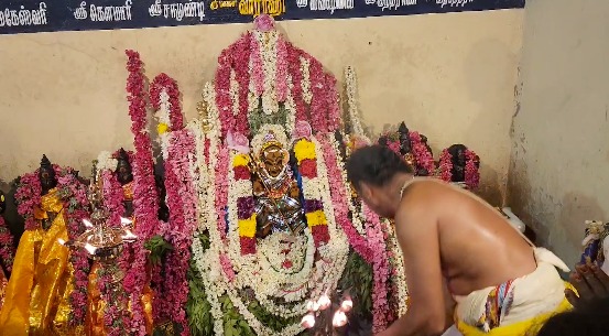 மாயூரநாதர் கோயில் யானையை வயதைக்காரணம் காட்டி ஓய்வு தேவையில்லை, நல்ல பராமரிப்பு வழங்க ஆர்வலர் கருத்து