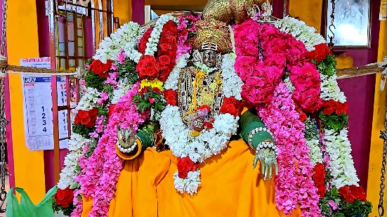 மாயூரநாதர் கோயில் யானையை வயதைக்காரணம் காட்டி ஓய்வு தேவையில்லை, நல்ல பராமரிப்பு வழங்க ஆர்வலர் கருத்து