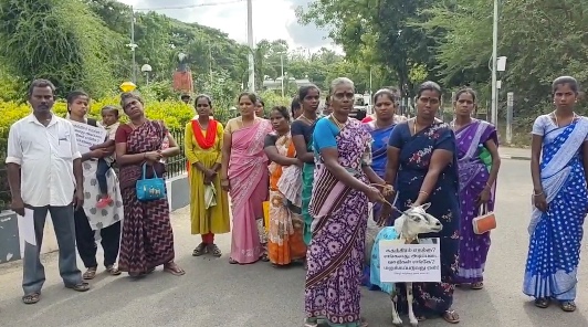 அறுபத்துமூவர் பேட்டையில் ஸ்ரீ சப்த மாதா என்கிற பிடாரி அம்மன் கோவிலில் ஆஷாட நவராத்திரியை முன்னிட்டு திருவிளக்கு பூஜை