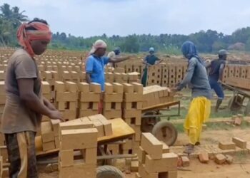 மயிலாடுதுறை மாமரத்துமேடையில் உள்ள திரௌபதி அம்மன் கோவிலின் 20-ஆம் ஆண்டு ஆடி உற்சவ தீமிதி திருவிழா