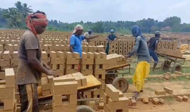 மயிலாடுதுறை மாமரத்துமேடையில் உள்ள திரௌபதி அம்மன் கோவிலின் 20-ஆம் ஆண்டு ஆடி உற்சவ தீமிதி திருவிழா