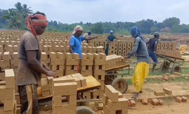மயிலாடுதுறை மாமரத்துமேடையில் உள்ள திரௌபதி அம்மன் கோவிலின் 20-ஆம் ஆண்டு ஆடி உற்சவ தீமிதி திருவிழா