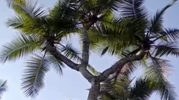 சென்னை வண்டலூர் கிரசன்ட் கல்லூரியில் முதலீட்டாளர்கள், நிபுணர்கள் உடன் மயில்சாமி அண்ணாதுரை உரை