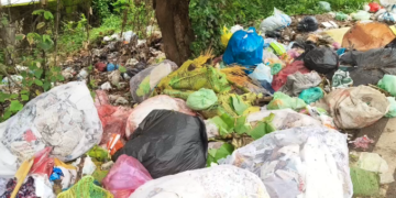 மார்த்தாண்டம் ஞாறாம்விளை சாலையில் நேசமணி நினைவு பாலத்தில் கொட்டப்படும் குப்பைகள் ஆற்றில் கலப்பதால் நோய் பரவும் அவலம்