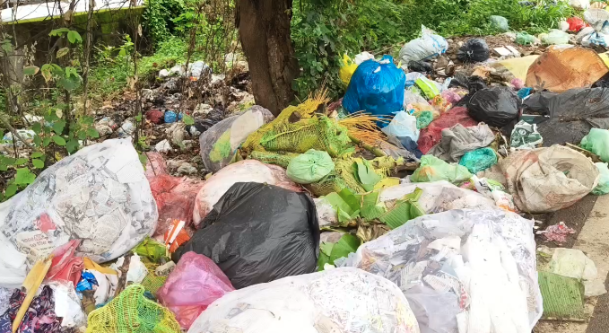மார்த்தாண்டம் ஞாறாம்விளை சாலையில் நேசமணி நினைவு பாலத்தில் கொட்டப்படும் குப்பைகள் ஆற்றில் கலப்பதால் நோய் பரவும் அவலம்