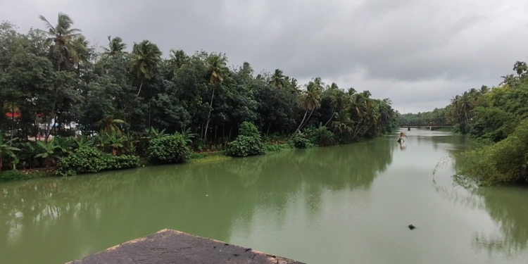 மார்த்தாண்டம் ஞாறாம்விளை சாலையில் நேசமணி நினைவு பாலத்தில் கொட்டப்படும் குப்பைகள் ஆற்றில் கலப்பதால் நோய் பரவும் அவலம்