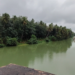 மார்த்தாண்டம் ஞாறாம்விளை சாலையில் நேசமணி நினைவு பாலத்தில் கொட்டப்படும் குப்பைகள் ஆற்றில் கலப்பதால் நோய் பரவும் அவலம்